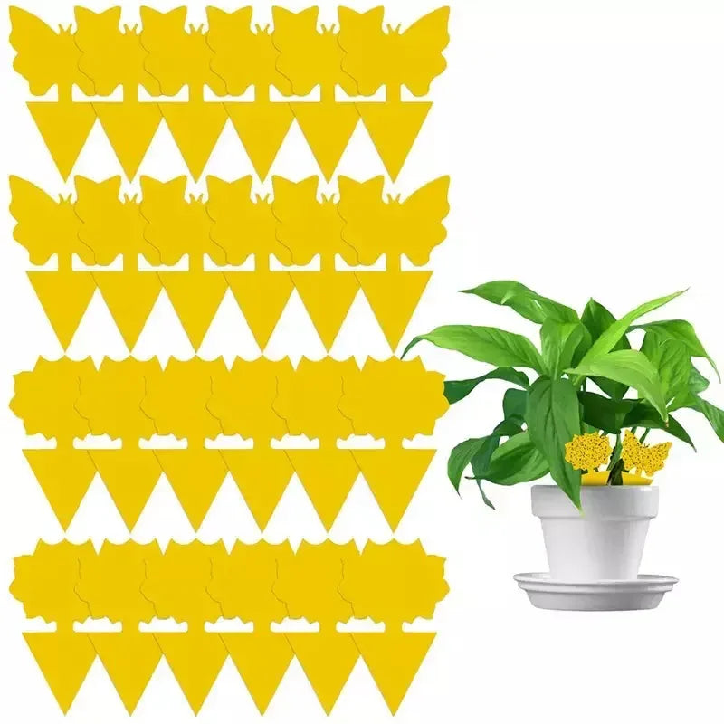 Yellow Sticky Insect Traps