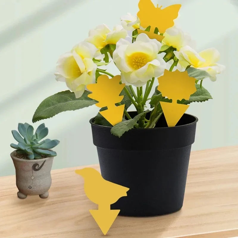 Yellow Sticky Insect Traps