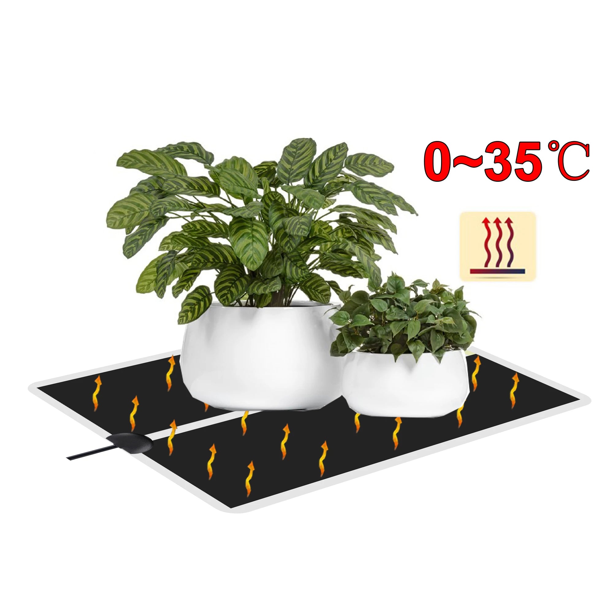 Seedling Heat Mat with Thermostat