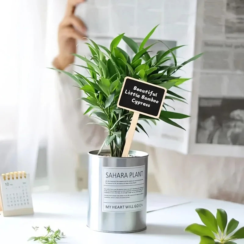 Rustic Wooden Plant Labels