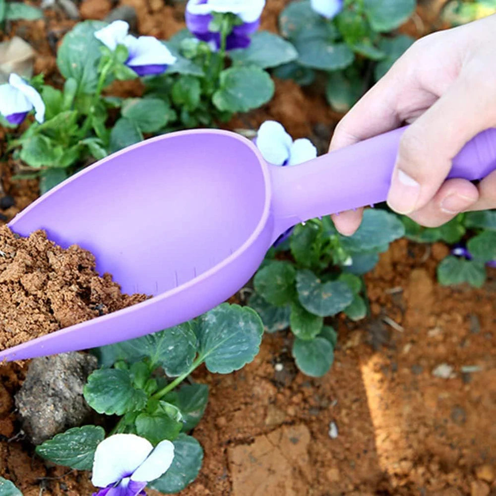 Garden Shovel Plant