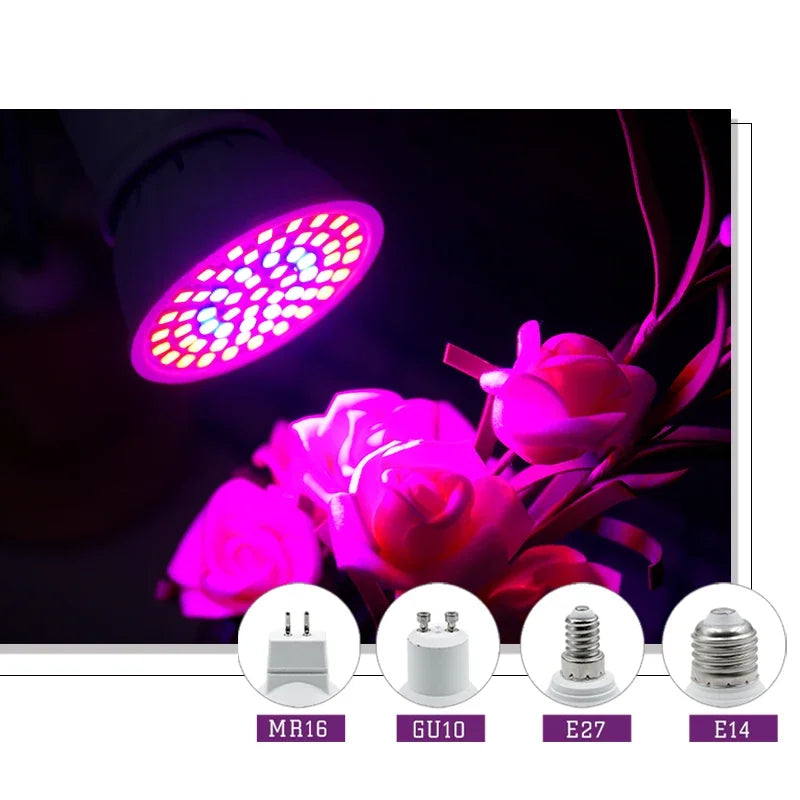 LED Grow Light Bulb E27