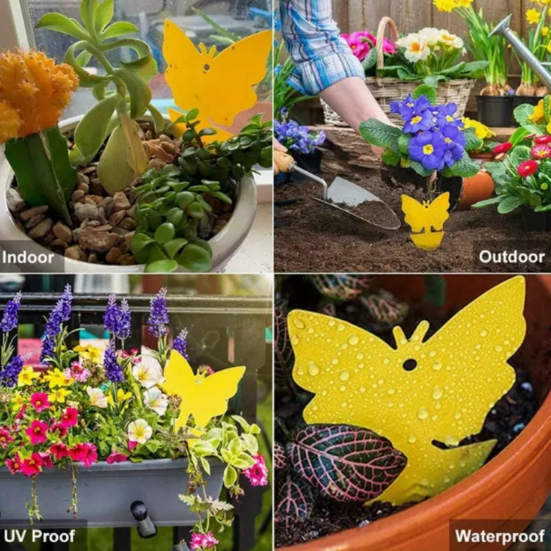 Yellow Sticky Insect Traps