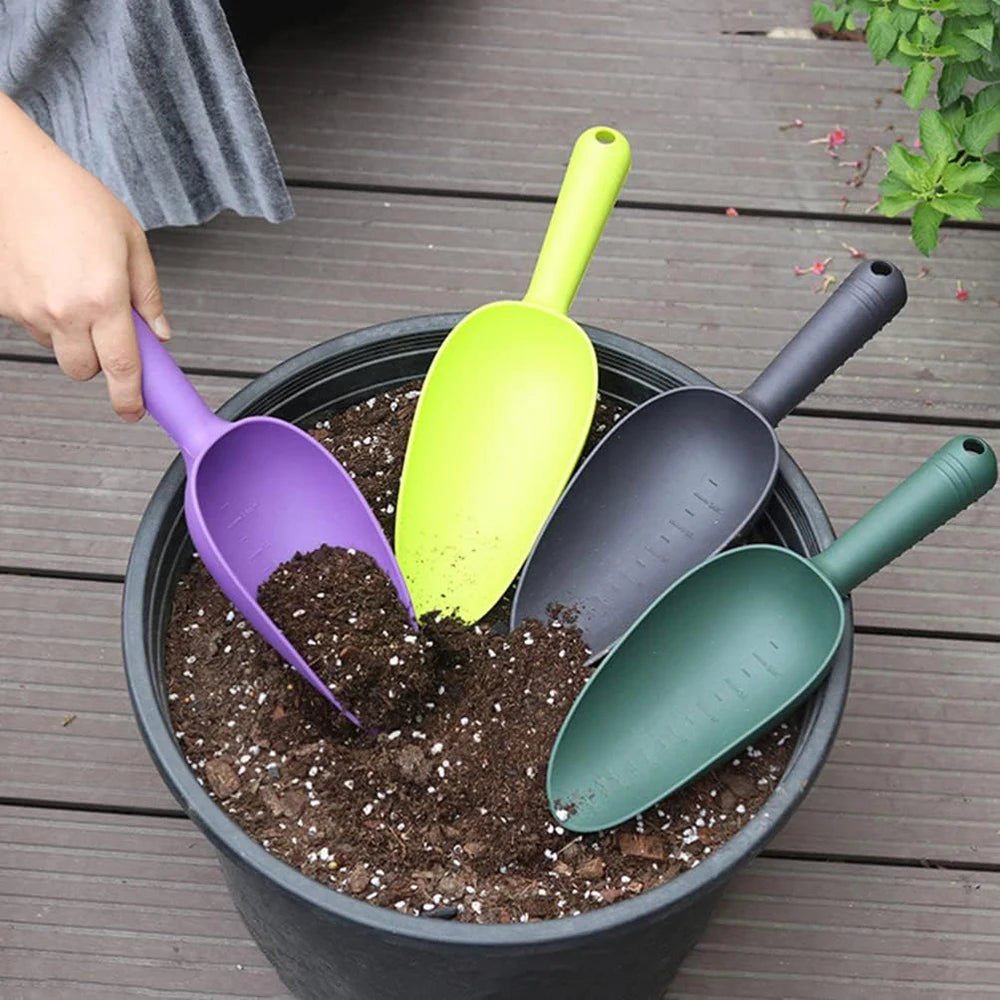 Garden Shovel Plant