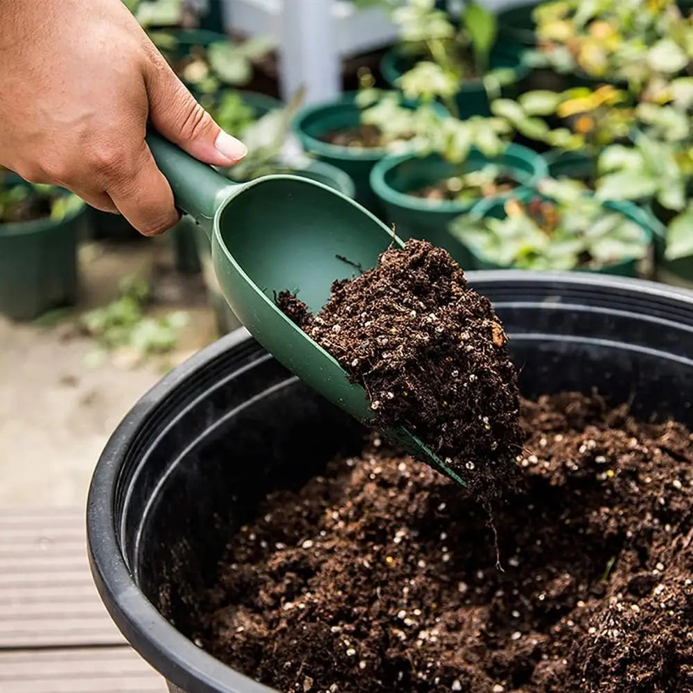 Garden Shovel Plant