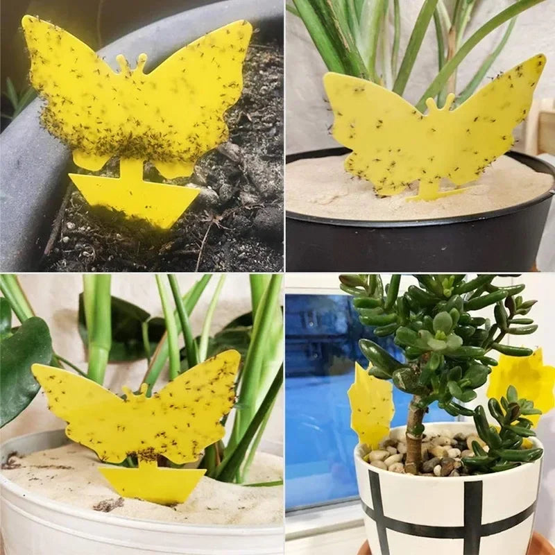 Yellow Sticky Insect Traps