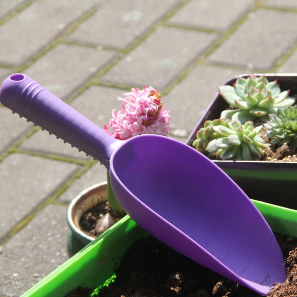 Garden Shovel Plant