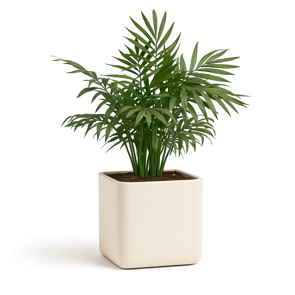 Self Watering Planter Flower Pot
